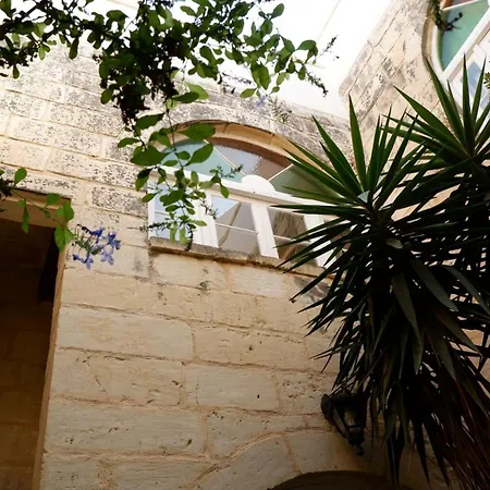 Village Knights Guest house 3*