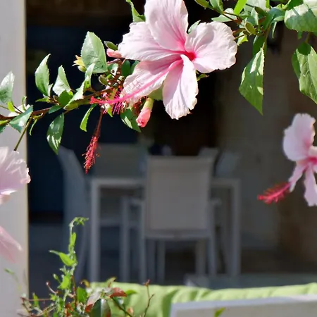 Penzion Village Knights