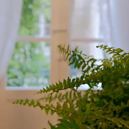 Village Knights 3* Zebbug (Southern Region)