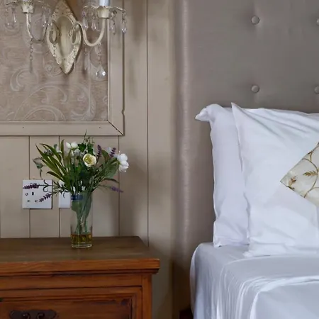 Guest house Village Knights 3*