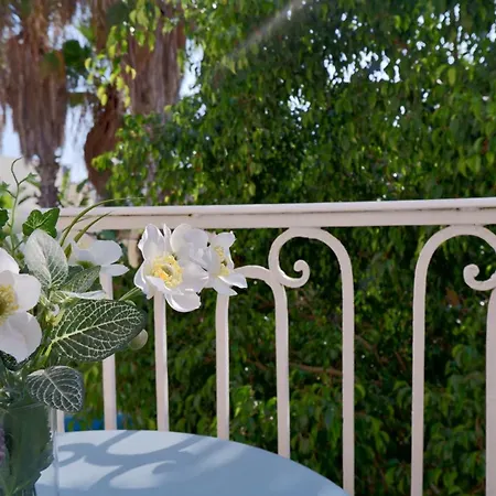 Village Knights Żebbuġ