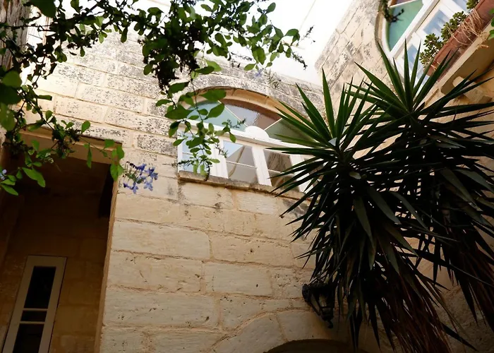 Village Knights 게스트하우스 3*