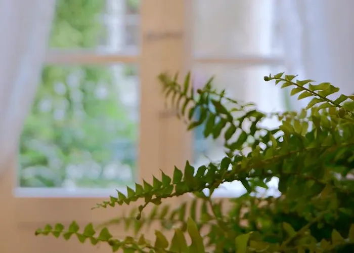 Village Knights 3* Żebbuġ