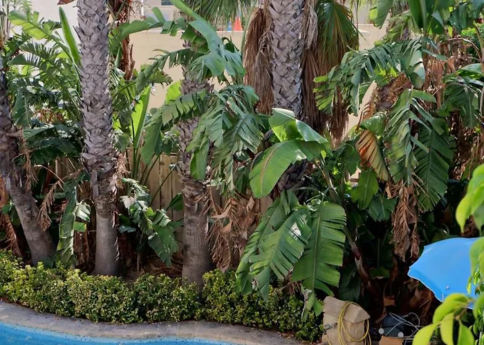 Village Knights 게스트하우스 3*