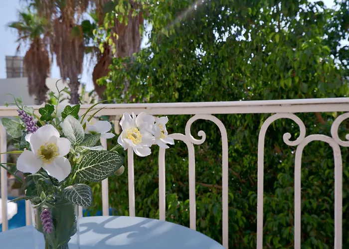 Village Knights Żebbuġ